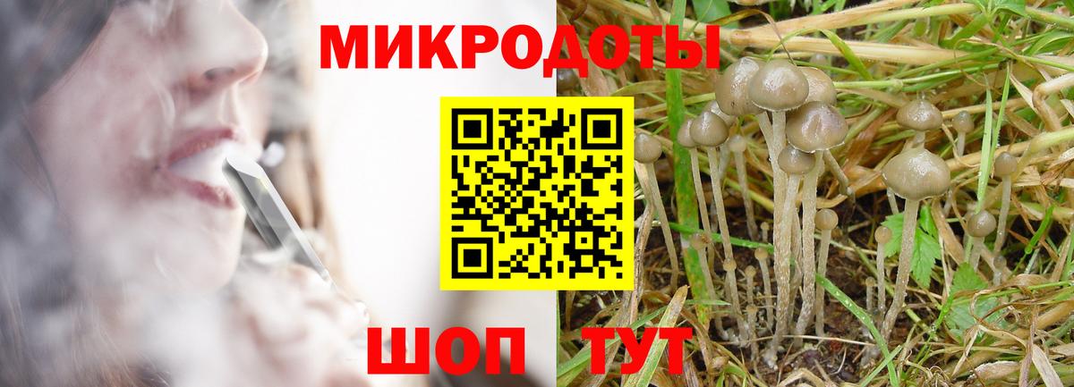 Галлюциногенные грибы ЛСД Алатырь